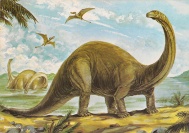 3brontosaurus