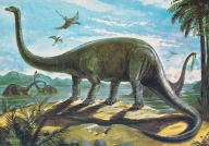 4diplodocus